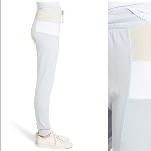 WILDFOX Sport Raina Jogger Pants in Blue Ribbon
